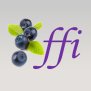 Fundacja Fundusz Inicjatyw FFI